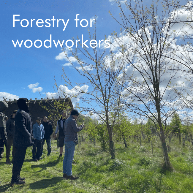 Forestry for Woodworkers